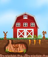 Kanin gräver mark på gården vektor