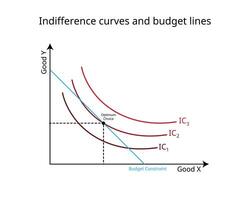 Budget Einschränkungen und Gleichgültigkeit Kurven Graph im Wirtschaft vektor
