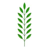 Grün Baum Ast mit Stengel und Blätter tropisch Pflanze bio organisch Botanik Dekor 3d Symbol vektor