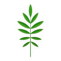 Grün tropisch Baum Ast natürlich organisch Farn mit Blätter und Stengel 3d Symbol realistisch vektor