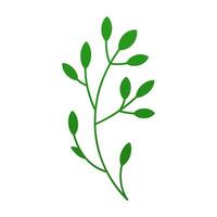 botanisch Grün Baum Ast Holz Pflanze Stengel mit bio organisch Blätter 3d Symbol realistisch vektor