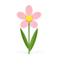 Rosa frisch Kamille Blume romantisch Pflanze mit Stengel Knospe Blütenblatt und Blätter 3d Symbol realistisch vektor