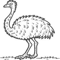 Emu Vogel Färbung Seiten zum Färbung Buch vektor