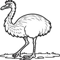 Emu Vogel Färbung Seiten zum Färbung Buch vektor