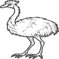 Emu Vogel Färbung Seiten zum Färbung Buch vektor