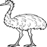 Emu Vogel Färbung Seiten zum Färbung Buch vektor