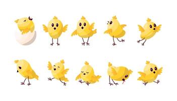 tecknad serie Färg tecken söt kyckling bebis uppsättning vektor