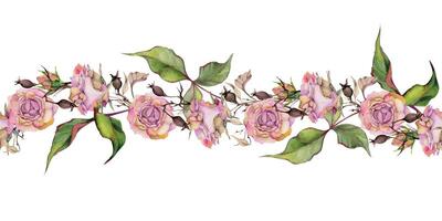 Hand gezeichnet Aquarell Illustration schäbig Boho botanisch Blumen Blätter. Rose Hüfte Dogrose Herbst Geäst Lunaria Rosa Pastell. nahtlos Banner isoliert auf Weiß Hintergrund. Design Hochzeit, Blumen- Geschäft vektor