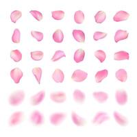 mall av annorlunda form rosa reste sig kronblad isolerat på vit bakgrund. realistisk volumetriska suddig sakura kronblad. fläck effekt illustration. vektor