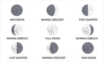 Phasen von Mond, Satz, von Neu Mond zu Neu Mond vektor