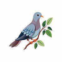 realistisch Taubenvogel Konzept Illustration vektor