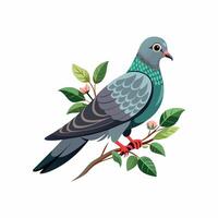 realistisch Taubenvogel Konzept Illustration vektor