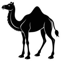 öken- resande, enkel kamel silhuett vektor