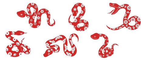Chinesisch Neu Jahr Schlange Design Satz. Element Tierkreis Zeichen Jahr von das Schlange mit Kirsche blühen Blume Muster auf Schlange rot Farbe. Illustration Design von Hintergrund, Karte, Aufkleber, Kalender. vektor