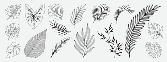 tropisk löv hand dragen linje konst och silhuett uppsättning. samling av blad gren, monstera, handflatan löv svart vit teckning kontur enkel stil. design illustration för skriva ut, logotyp, varumärke. vektor