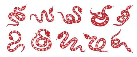 Chinesisch Neu Jahr Schlange Design Satz. Element Tierkreis Zeichen Jahr von das Schlange mit Kirsche blühen Blume Muster auf Schlange rot Farbe. Illustration Design von Hintergrund, Karte, Aufkleber, Kalender. vektor