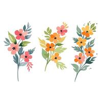Blumen- Aquarell bunt Blumen vektor
