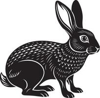 kanin - svart och vit tecknad serie illustration, bild. vektor
