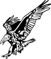 fliegend amerikanisch kahl Adler Illustration vektor