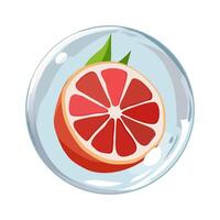 gesund rot Grapefruit im Luft Blase. isoliert Illustration auf Weiß Hintergrund. Sommer- Obst zum eben Design von Karten, Banner, Präsentationen, Logo, Poster vektor