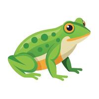 Frosch einfach Grafik Illustration vektor