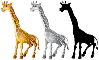 Set av giraff karaktär vektor