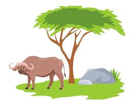 afrikanisch Büffel auf das afrikanisch Savanne. Stier von Kap Büffel oder Wüste Ochse. Natur und Tiere von Afrika vektor