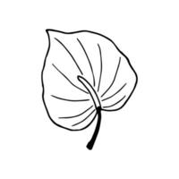 skiss tropiska löv. doodle philodendron. skissera djungelväxt vektor