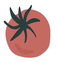 Tomate Gemüse Grafik Illustration, produzieren von das Garten, Ernte Gemüse Clip Art, Grafik Illustration vektor