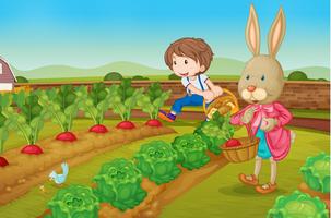 Kanin och pojke i trädgården vektor
