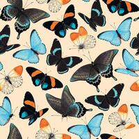 sömlös mönster med hög detaljerad tropisk fjärilar vektor