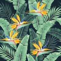 nahtlos Muster mit Palme Blätter und tropisch Blumen vektor