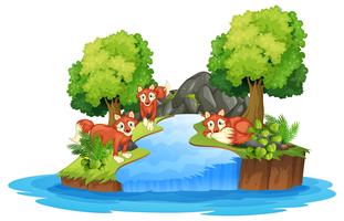 Isolierter Fuchs in der Insel vektor