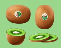 3d Illustration von Kiwi Früchte mit Aufkleber. ganze und gehackt Kiwis isoliert auf Grün Hintergrund vektor