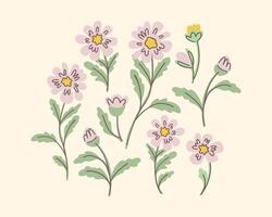 schön einstellen Blume Sammlung mit Anemonen, Kosmea, Kamille, Blätter, Blume Kompositionen. vektor
