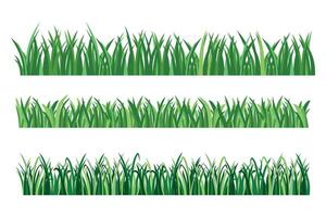 einstellen von Grün Gras isoliert auf Weiß Hintergrund. vektor