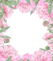 Rahmen aus rosa blühenden Pfingstrosen mit Knospen und Blättern. vektor