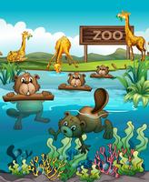Djur i djurparken vektor