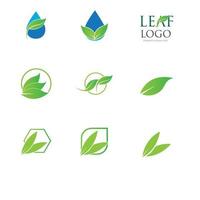 Logos der grünen Blattökologie-Naturelementvektorikone vektor