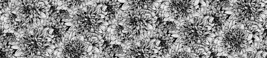 sömlös mönster med hand dragen dahlia mambo blommor. blommig illustration vektor