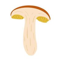 hackad suillus svamp. ätlig svamp. hand dragen trendig platt stil isolerat på vit bakgrund. höst skog skörda, friska organisk mat, vegetarian mat. illustration vektor