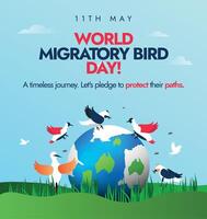 värld flyttande fågel dag. 11th Maj 2024 värld flyttande fågel dag firande, medvetenhet baner med jord klot och fåglar runt om Det. de bevarande tema detta år är skydda insekter, skydda fåglar. vektor
