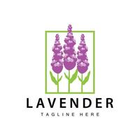 Lavendel Logo einfach Design kosmetisch Pflanze lila Farbe und Aromatherapie Lavendel Blume Garten Vorlage vektor