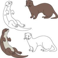 Otter Clip Art. Wasser- Tier Clip Art zum Liebhaber von unter Wasser Meer Tiere, Marine Leben, und Meer Leben vektor