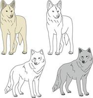 Wolf Clip Art. wild Tiere Clip Art Sammlung zum Liebhaber von Dschungel und Tierwelt. diese einstellen werden Sein ein perfekt Zusatz zu Ihre Safari und Zoo-Themen Projekte. vektor