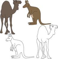 Kamel und Känguru Clip Art. wild Tiere Clip Art Sammlung zum Liebhaber von Dschungel und Tierwelt. diese einstellen werden Sein ein perfekt Zusatz zu Ihre Safari und Zoo-Themen Projekte vektor