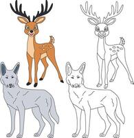 Wolf und Hirsch Clip Art. wild Tiere Clip Art Sammlung zum Liebhaber von Dschungel und Tierwelt. diese einstellen werden Sein ein perfekt Zusatz zu Ihre Safari und Zoo-Themen Projekte vektor