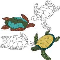 Meer Schildkröte Clip Art. Wasser- Tier Clip Art zum Liebhaber von unter Wasser Meer Tiere, Marine Leben, und Meer Leben vektor