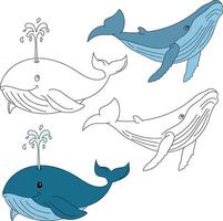 Wal Clip Art. Wasser- Tier Clip Art zum Liebhaber von unter Wasser Meer Tiere, Marine Leben, und Meer Leben vektor