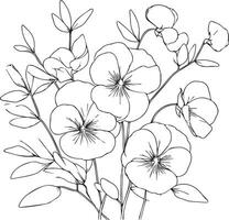 Süss Erbse Blume Zeichnungen, Süss Erbse Blumen farblos schwarz und Weiß Kontur Linie einfach Zeichnungen, Hand gezeichnet Linie Blätter Geäst und Blühen Süss Erbse Färbung Seiten vektor